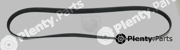 NPS T111A34 — V-Ribbed Belt