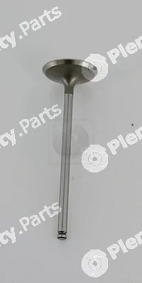 NPS H920A20 — Intake Valve