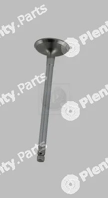 NPS T920A28 — Intake Valve