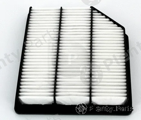 NPS H132I49 — Air Filter
