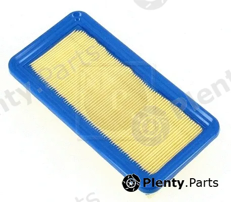 NPS H132I17 — Air Filter