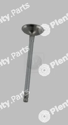 NPS D920O01 — Intake Valve