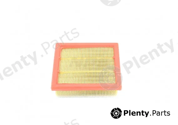 NPS F132T209 — Air Filter