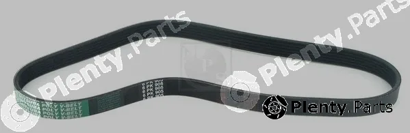 NPS D111O08 — V-Ribbed Belt
