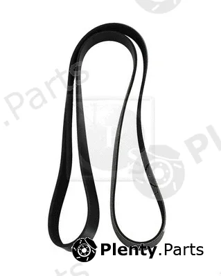 NPS T111A55 — V-Ribbed Belt