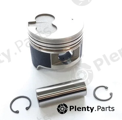 NPS T901A29NB — Piston