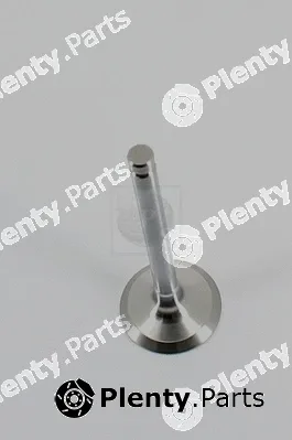 NPS M921I11 — Exhaust Valve