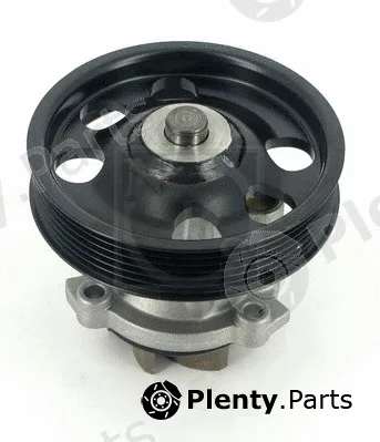 NPS S151I19 — Water Pump, engine cooling