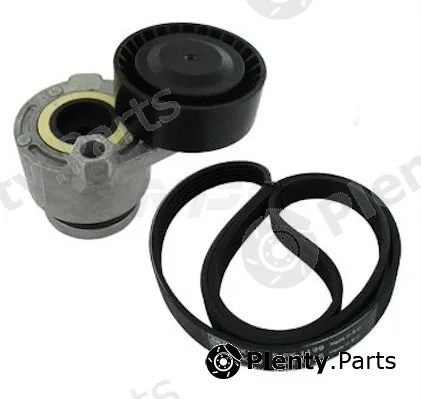 NPS R108T10 — V-Ribbed Belt Set