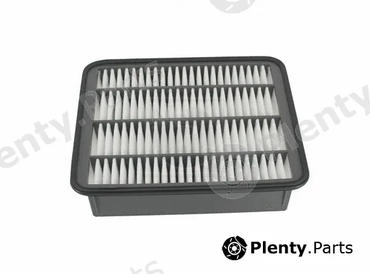 NPS T132A136 — Air Filter