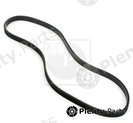 NPS N111N35 — V-Ribbed Belt