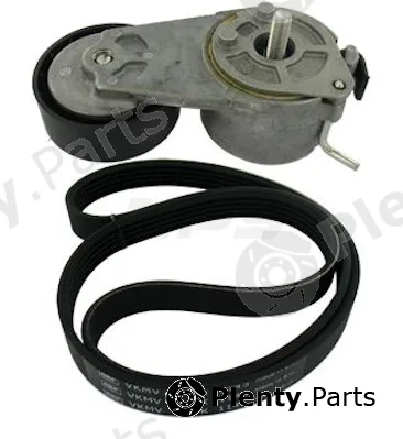 NPS F108D01 — V-Ribbed Belt Set
