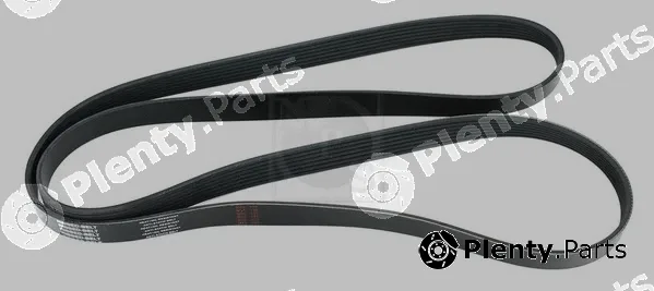 NPS T111A74 — V-Ribbed Belt