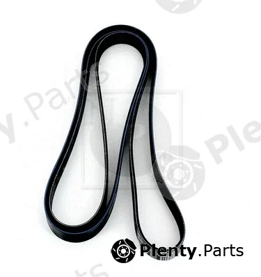 NPS M111I73 — V-Ribbed Belt