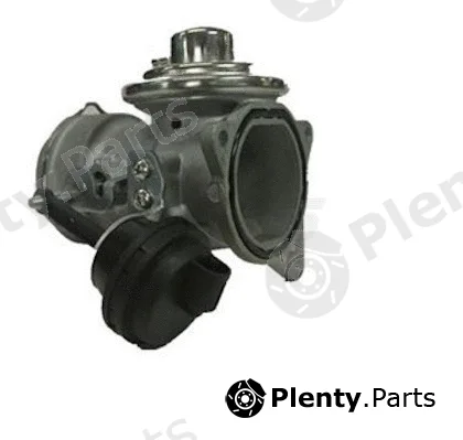 NPS V564G07 — EGR Valve
