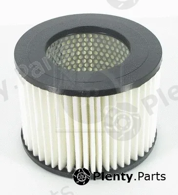 NPS T132A06 — Air Filter