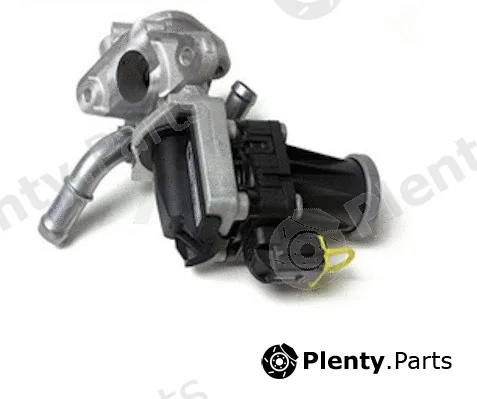 NPS P564A07 — EGR Valve