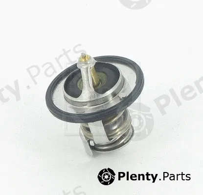 NPS D153U02 — Thermostat, coolant