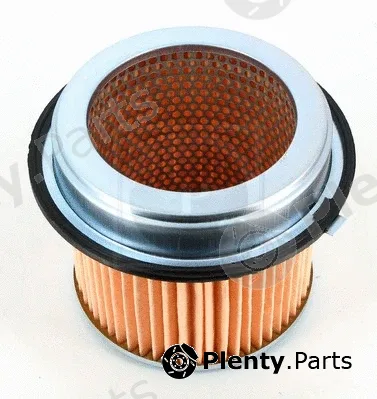 NPS M132I17 — Air Filter