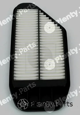 NPS D132O10 — Air Filter