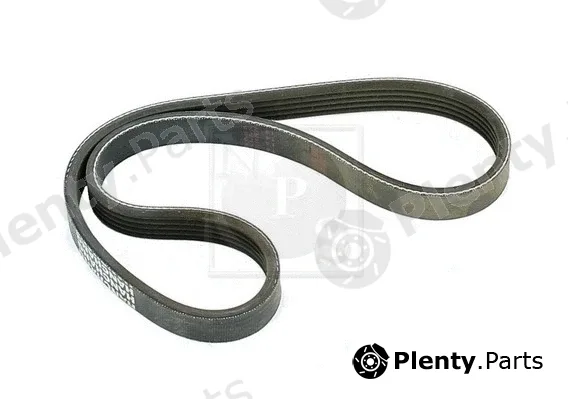 NPS H111A54 — V-Ribbed Belt