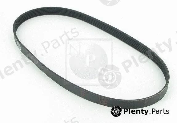 NPS M111I66 — V-Ribbed Belt