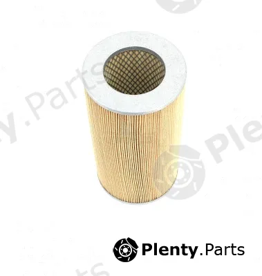 NPS T132A134 — Air Filter