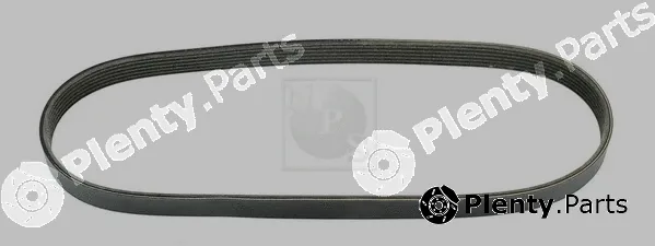 NPS T111A79 — V-Ribbed Belt