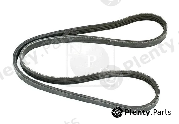 NPS H111A50 — V-Ribbed Belt