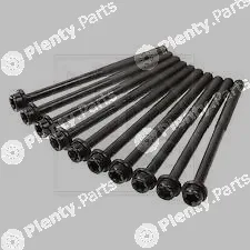 NPS M128A19 — Cylinder Head Bolt Set