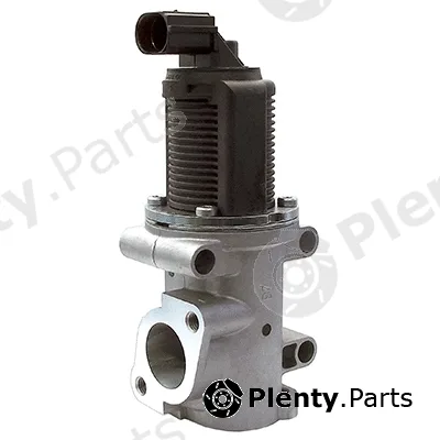 Fispa 83.604AS — EGR Valve ARMAN