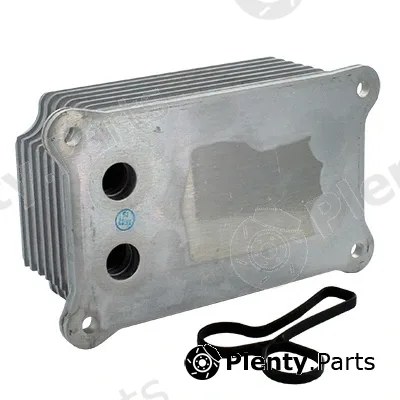 Fispa 590041 — Oil Cooler, engine oil
