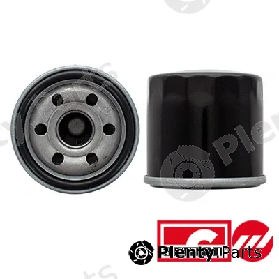 Fispa 56100AS — Hydraulic Filter Kit, automatic transmission ARMAN