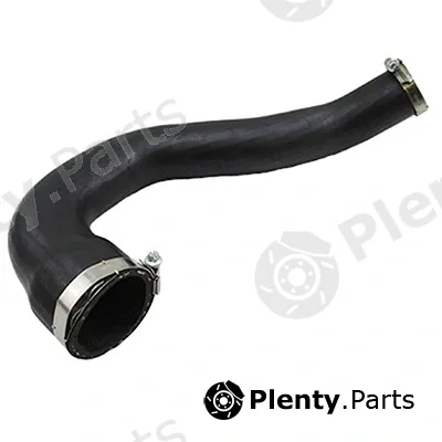 Fispa 500378 — Charge Air Hose