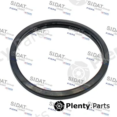 Fispa 94.016100 — Seal, thermostat