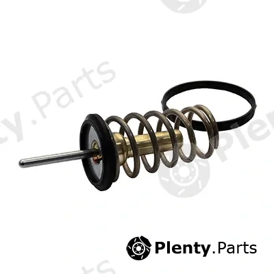 Fispa 94.789 — Thermostat, coolant