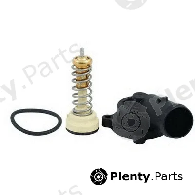 Fispa 94.756K — Thermostat, coolant