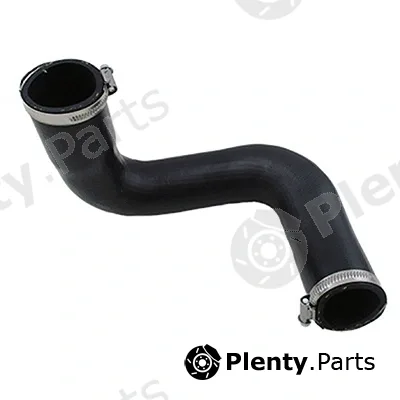 Fispa 500401 — Charge Air Hose