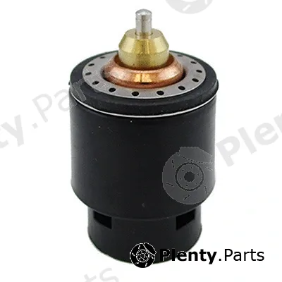 Fispa 94.899 — Thermostat, coolant