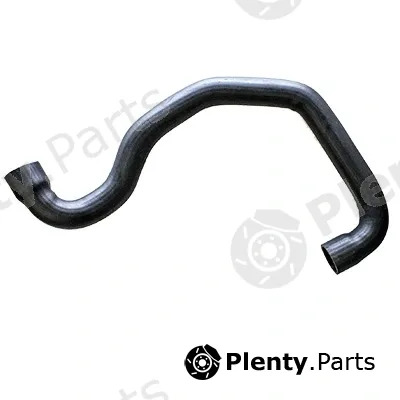 Fispa 500283 — Charge Air Hose