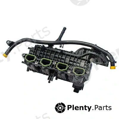 Intake Manifold Module