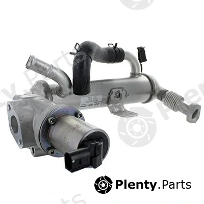 EGR Module