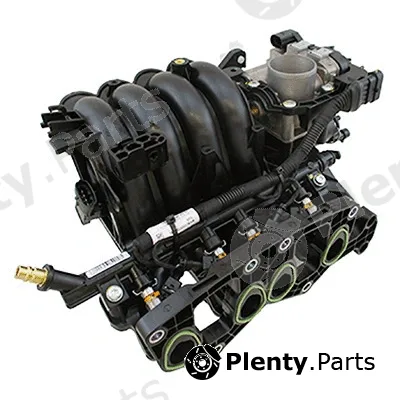 Intake Manifold Module