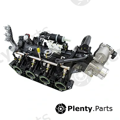 Intake Manifold Module