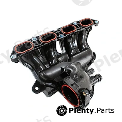 Intake Manifold Module