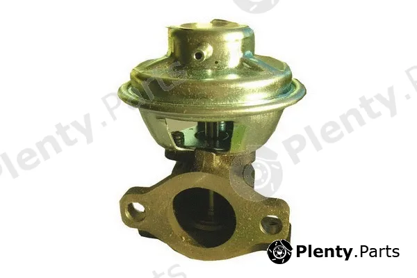 Fispa 83.787 — EGR Valve