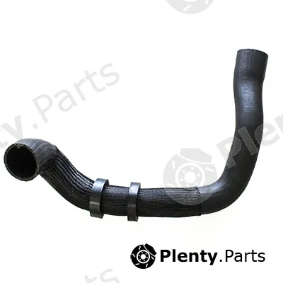 Fispa 500245 — Charge Air Hose