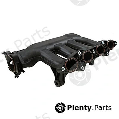 Intake Manifold Module