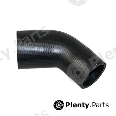 Fispa 500032 — Charge Air Hose