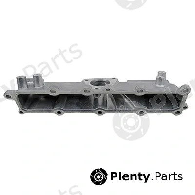 Intake Manifold Module